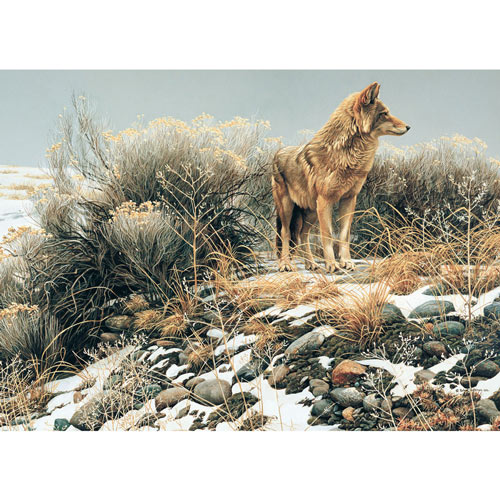 Coyote in Winter Sage 1000 Piece Jigsaw Puzzle
