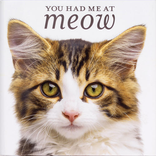 You Had Me at Meow Book