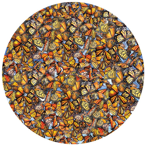 Monarch Frenzy 1000 Piece Round Jigsaw Puzzle