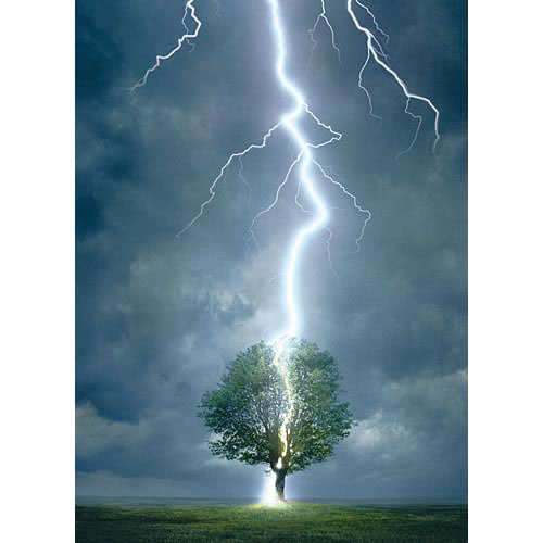 Lightning Striking Tree 1000 Piece Jigsaw Puzzle