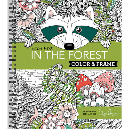 Color Counts Book - In The Forest