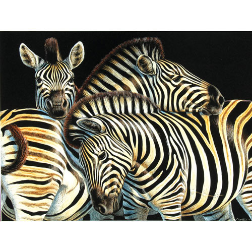 Zebras 500 Piece Jigsaw Puzzle
