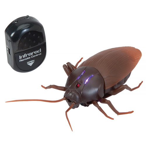 Giant Remote Control Roach