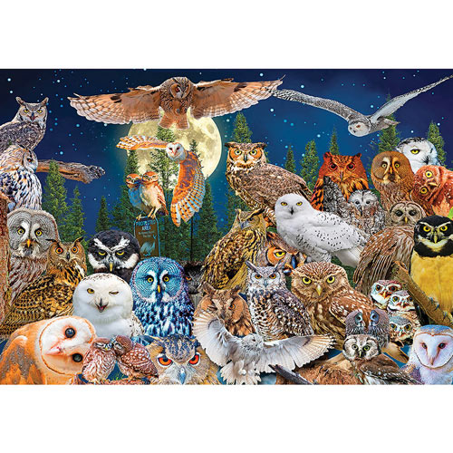 Night Owls 500 Piece Giant Jigsaw Puzzle