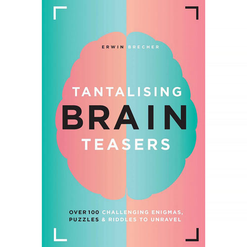 Tantalizing Brain Teasers Book