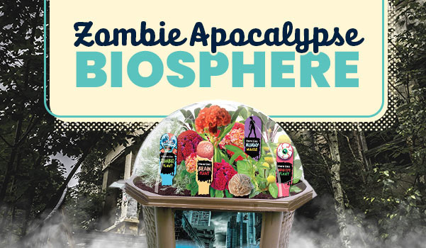 Zombie Apocalypse Plant