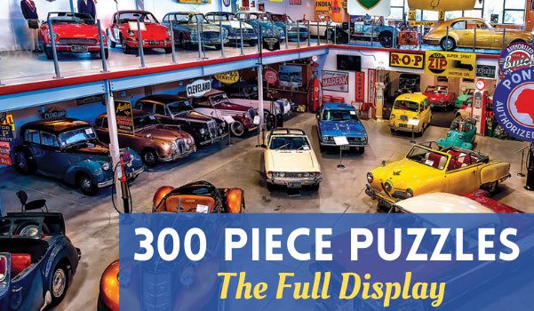 300 Piece Puzzles