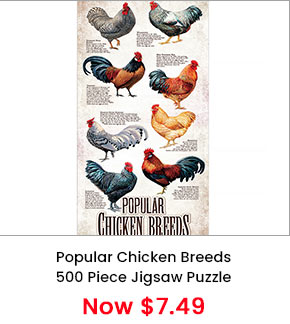 Popular Chicken Breeds 500 Piece Jigsaw Puzzle