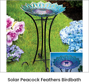 Solar Peacock Feathers Birdbath