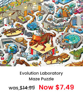 Evolution Laboratory Maze Puzzle  