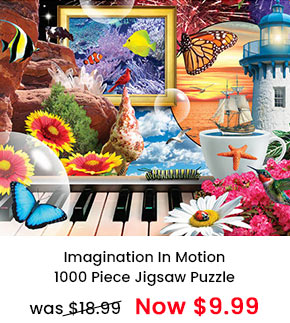 Imagination In Motion 1000 Piece Jigsaw Puzzle 