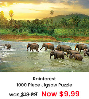 Rainforest 1000 Piece Jigsaw Puzzle