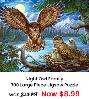Night Owl Family 300 Large Piece Jigsaw Puzzle