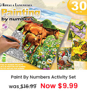 Paint By Numbers Activity Set