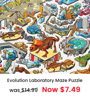 Evolution Laboratory Maze Puzzle