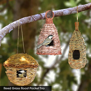 Reed Grass Roost Pocket Trio