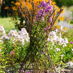 Willow Obelisk Plant Support