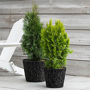 Lodge Look Planter