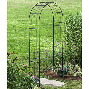 Monet Arch