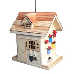 Garden Shed Feeder