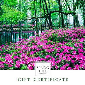 E-Gift Certificate – Landscape Design