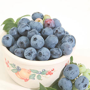 Blueberry Chippewa