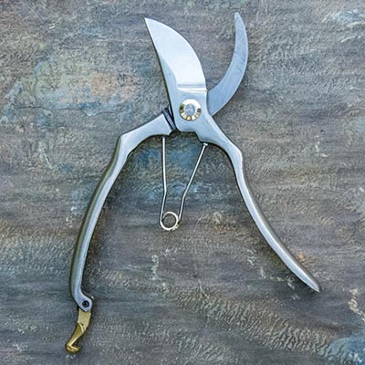 Essential Stainless Steel Pruners – Gardening | Spring Hill Nurseries