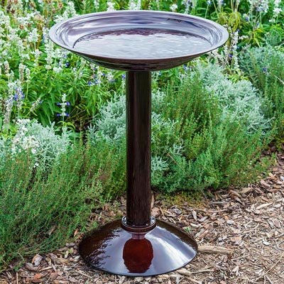 Simplicity Birdbath – Birding | Spring Hill Nurseries