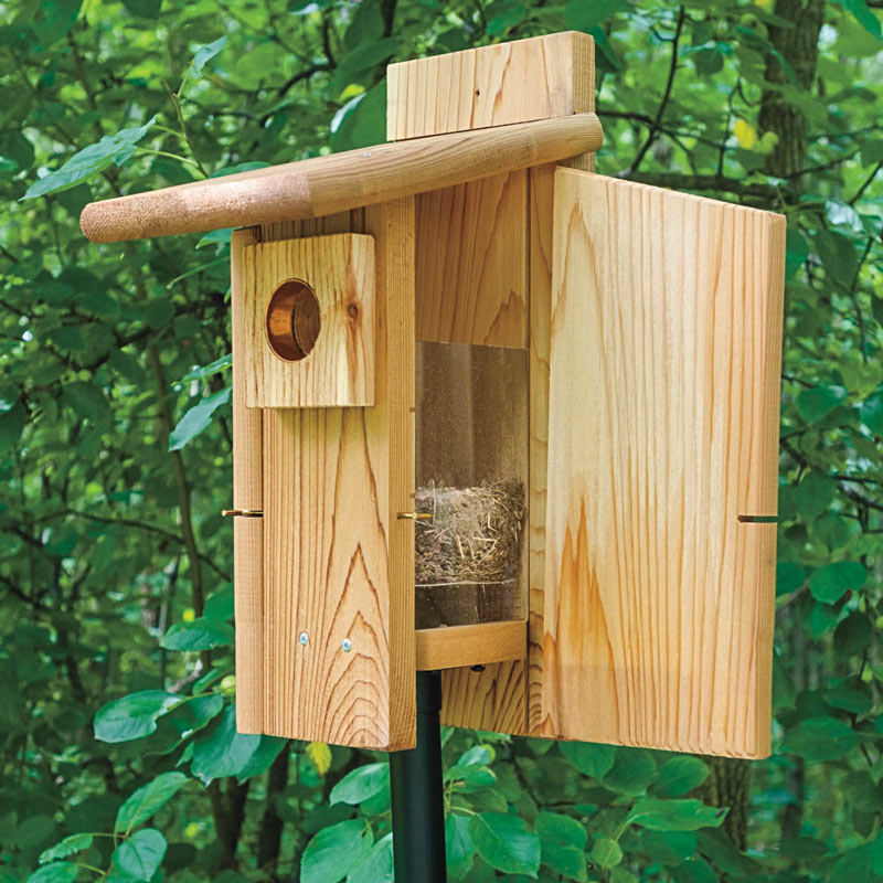 Ultimate Bluebird Nestbox