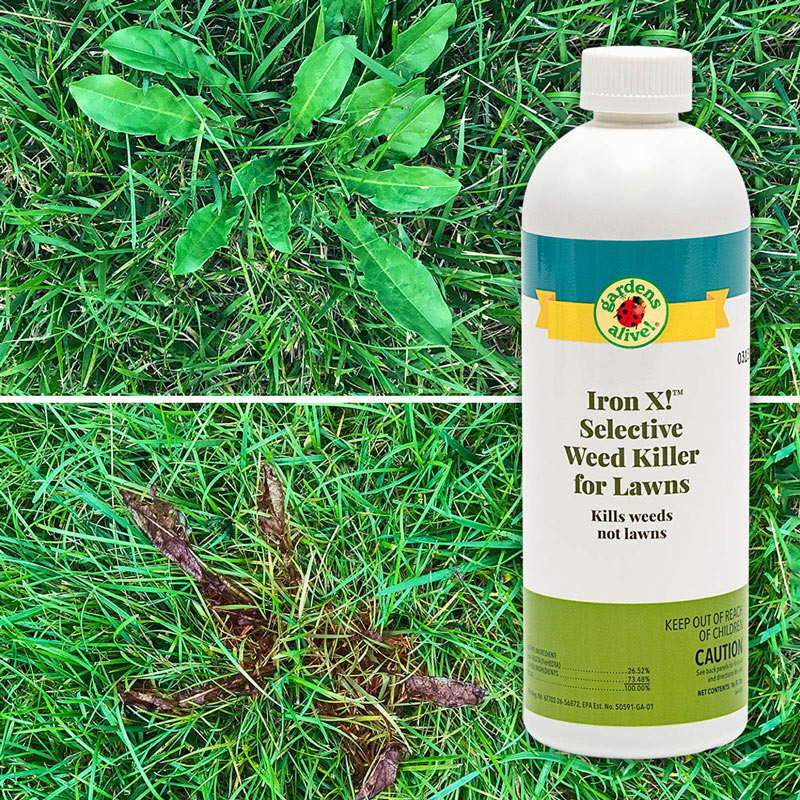 Iron X!™ Selective Weed Killer For Lawns 16oz