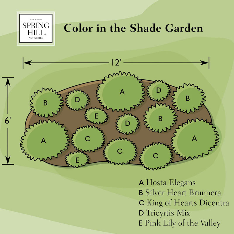 Color In The Shade Garden Spring Hill, Shade Garden Plan