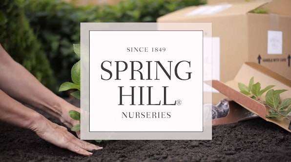 The Spring Hill Nurseries<sup>&reg;</sup> Difference