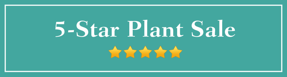 5-Star Plants