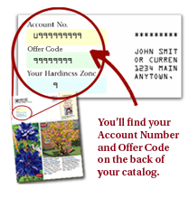 Spring Hill Catalog
