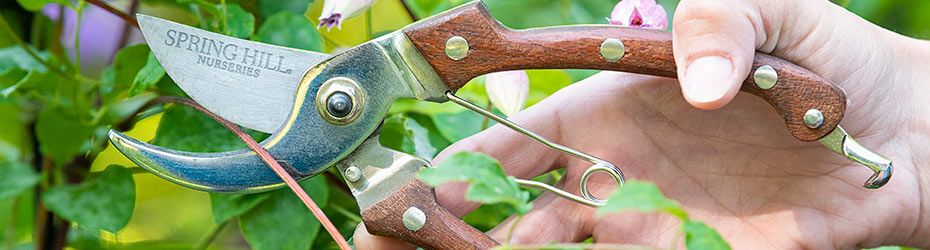 Tools and Décor