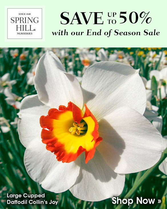 End of Season Sale: Up to 50% Off