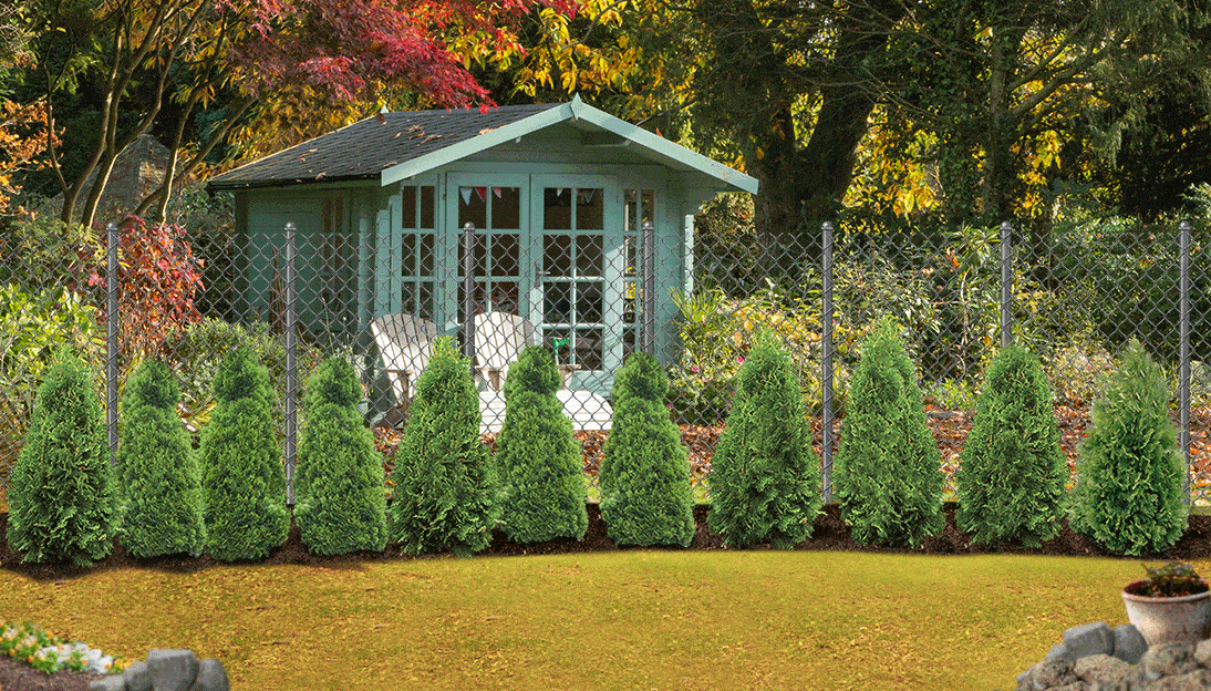 Spring Hill Nurseries