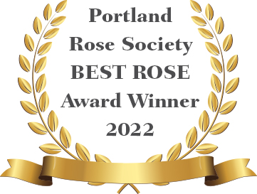 Portland Rose Society Best Rose Award Winner 2022