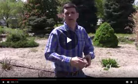 How to Mulch, Mulching Tips and Info Video
