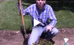 Guide to Planting a Hedge Garden