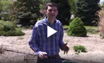 How to Mulch, Mulching Tips and Info Video