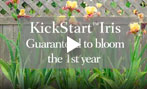 Kickstart Iris