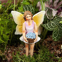 Welcome Fairy Garden Set