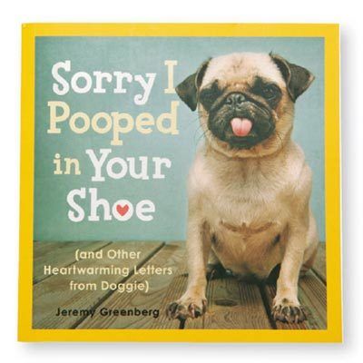 Sorry I Pooped In Your Shoe Book | The Paragon