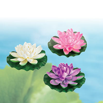 All-Weather Forever Water Lilies 