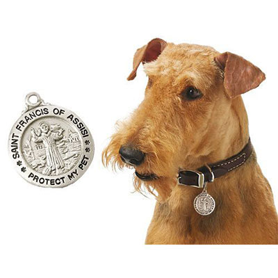Personalized Protect Your Pet Tag