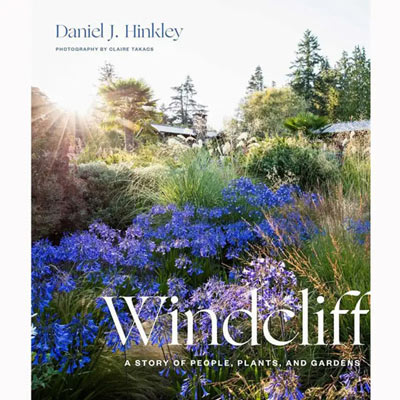 Windcliff