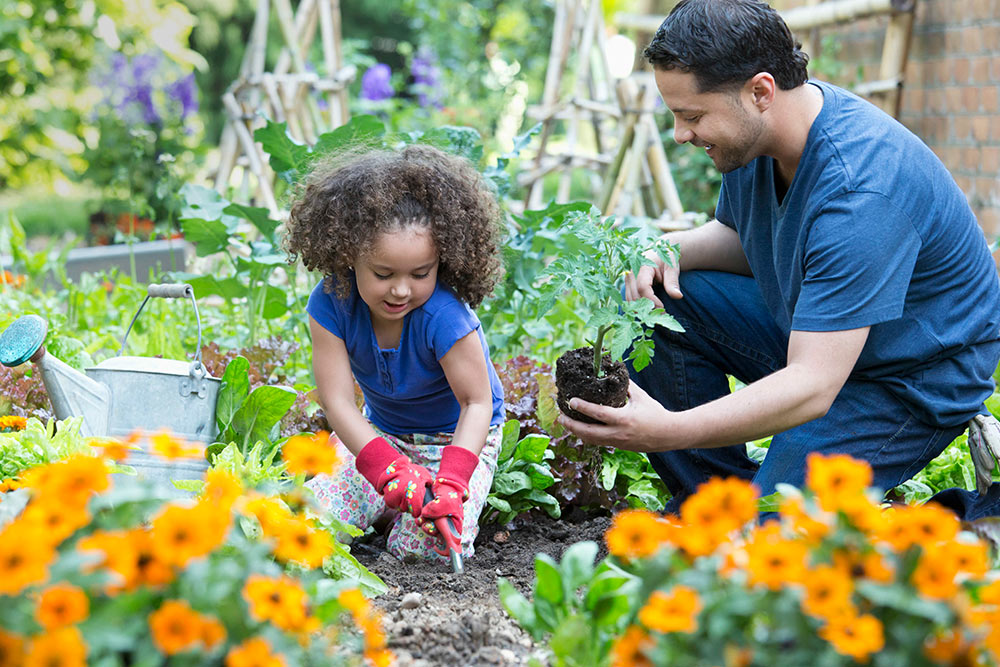 Home Gardeners