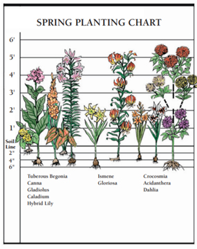 Spring Planting Chart