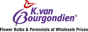 K. van Bourgondien - Flower Bulbs & Perennials at Wholesale Prices!